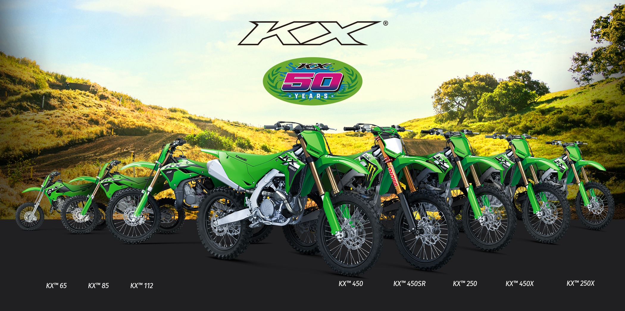 KX FAMILY: KX65 KX85 KX100 KX450 KX250 KX450X KX250X
