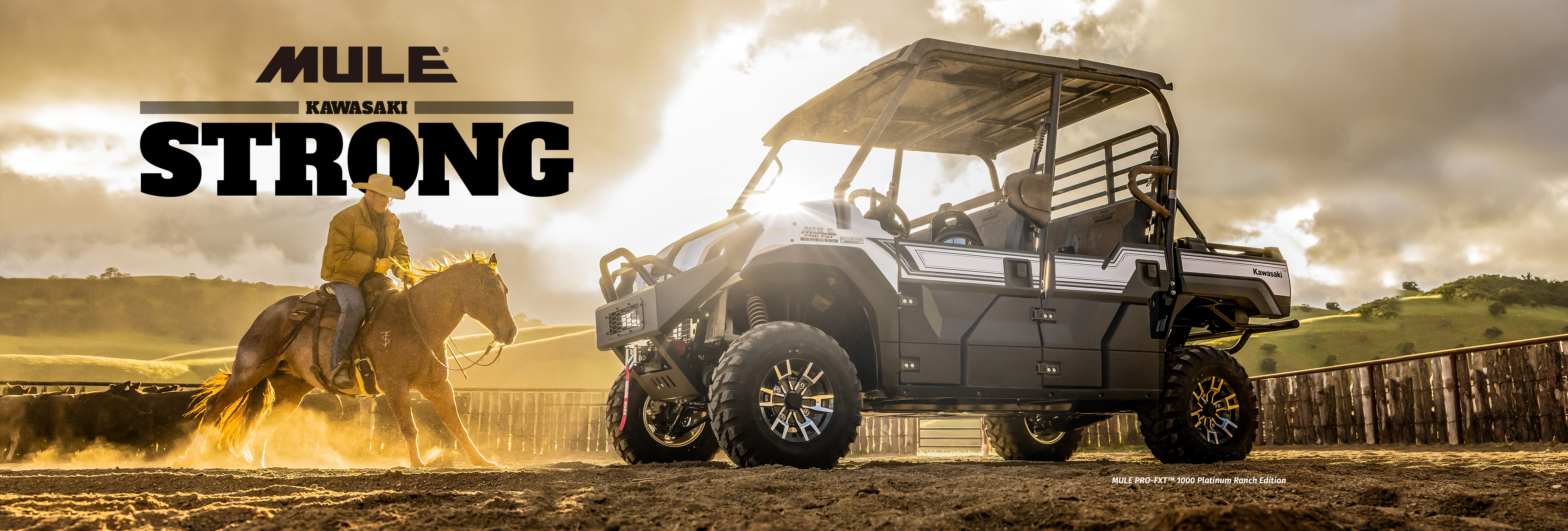 MULE FAMILY: MULE 4010 MULE PRO-FXT RANCH EDITION MULE PRO-MX EPS LE MULE PRO-MX EPS MULE PRO-FXR MULE SX 4X4 XC LE FI