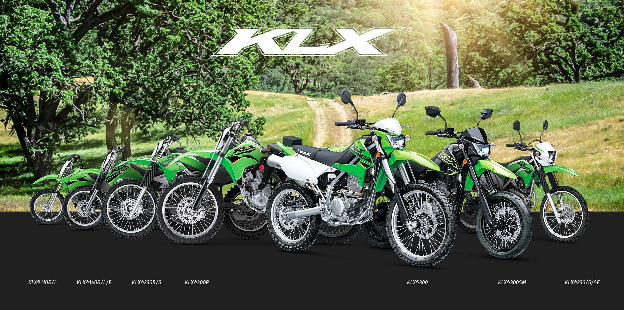 KLX FAMILY: KLX110R KLX140R KLX230R KLX300R KLX300SM KLX300 KLX250 KLX230