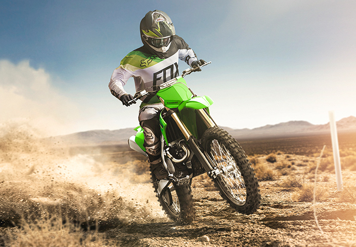 KAWASAKI TERYX: TERYX LE
