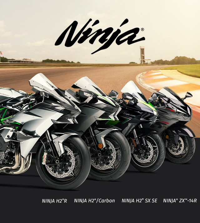 Ninja FAMILY: Ninja SMALL IMAGE