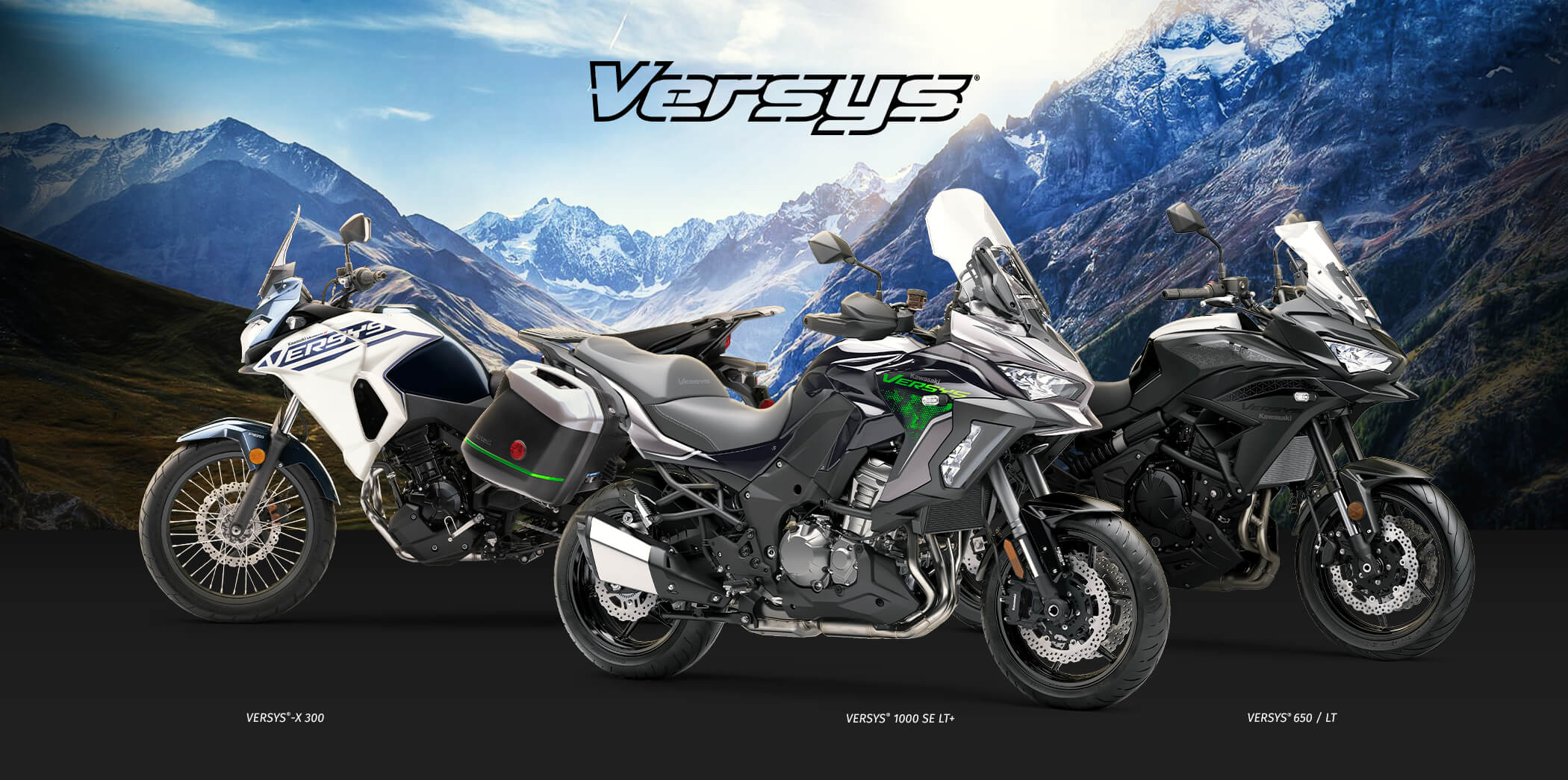 versys FAMILY: