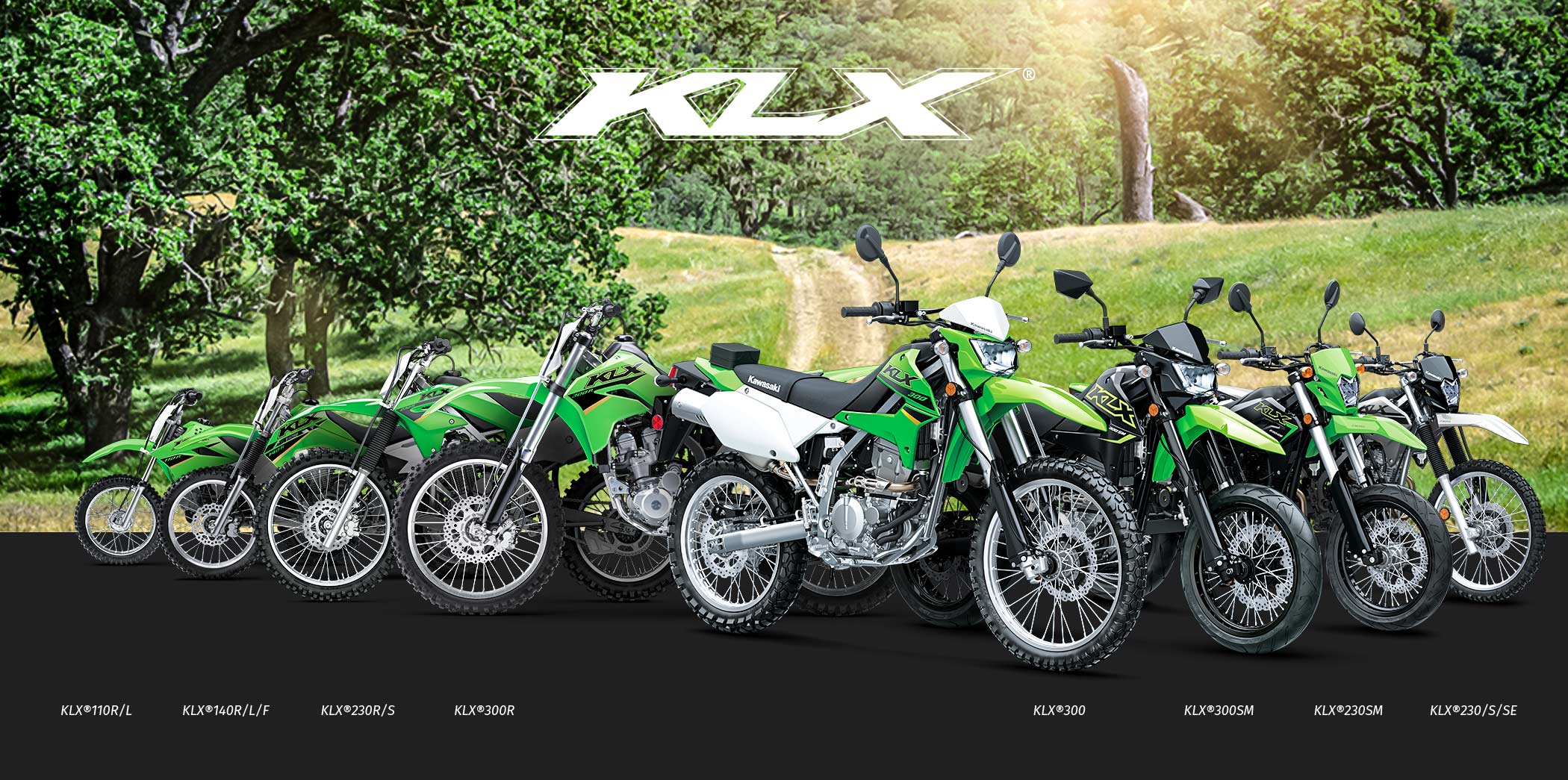 KLX FAMILY: KLX110R KLX140R KLX230R KLX300R KLX300SM KLX300 KLX250 KLX230