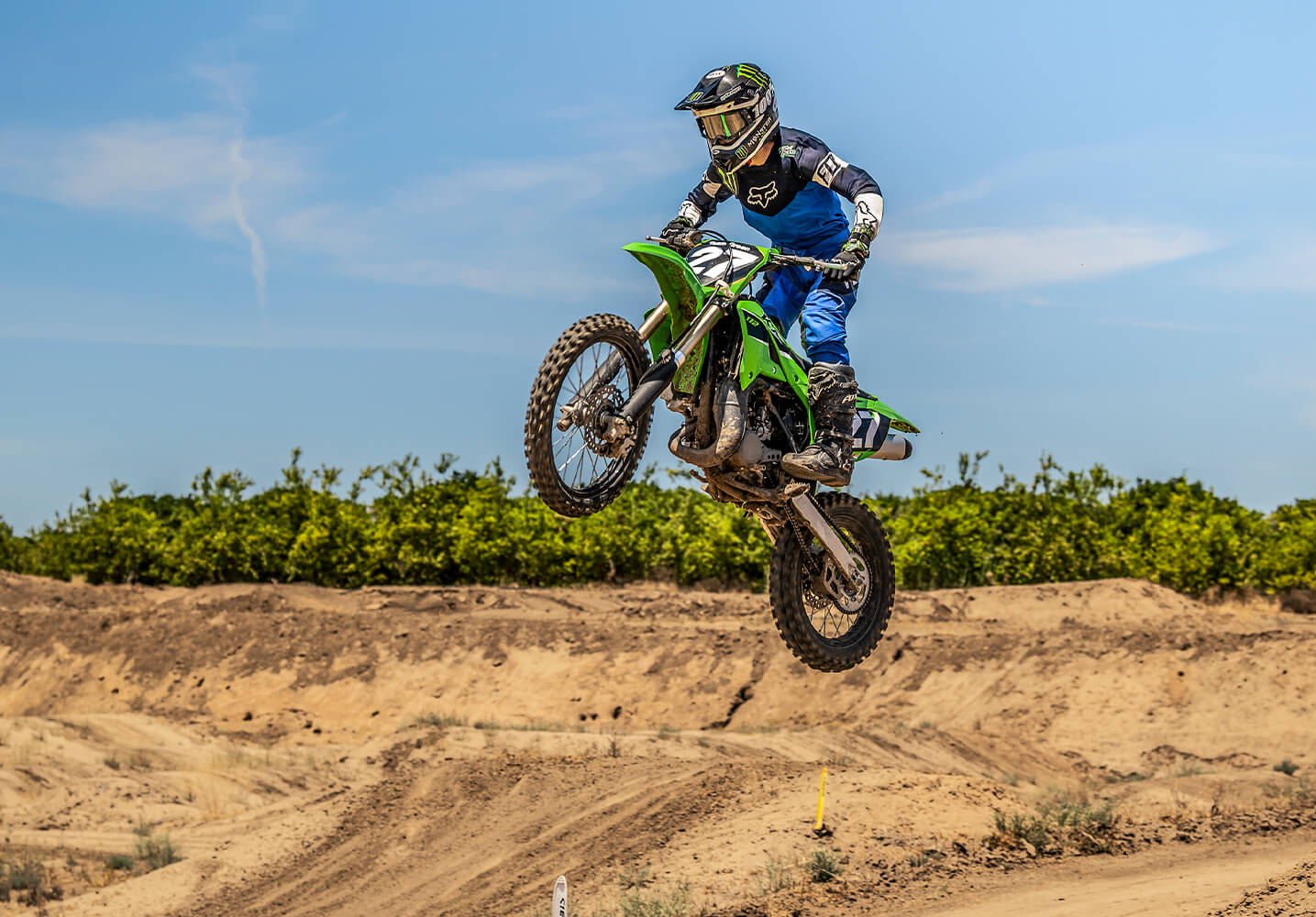 KAWASAKI TERYX: TERYX LE