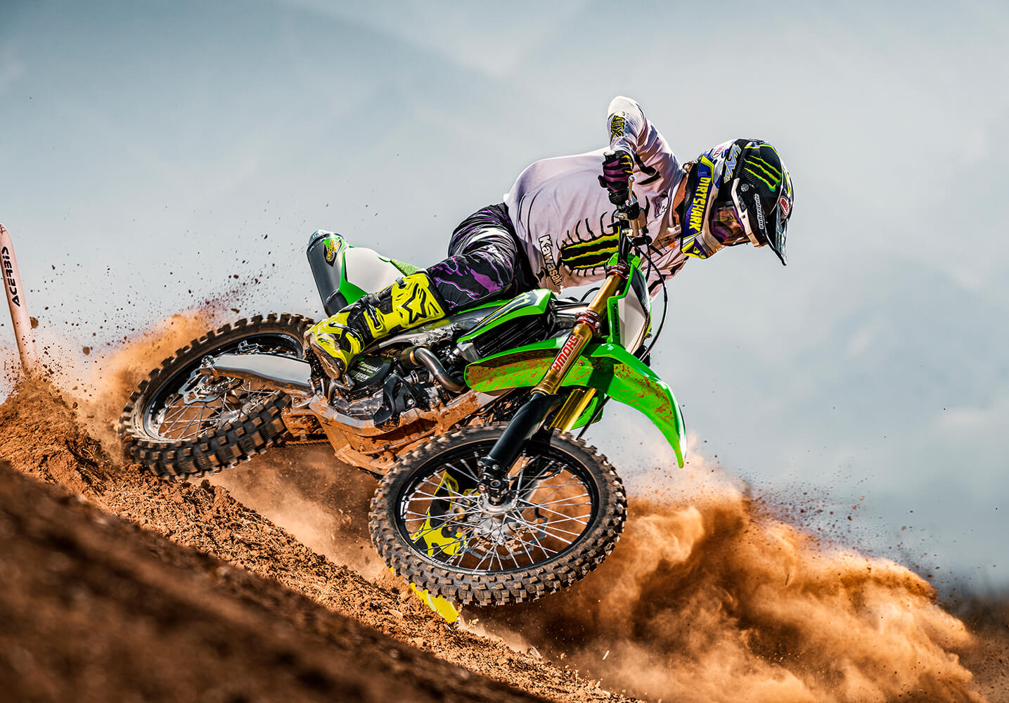 KAWASAKI TERYX: TERYX LE