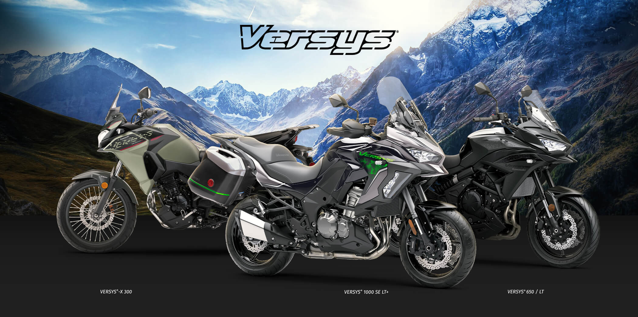 versys FAMILY: