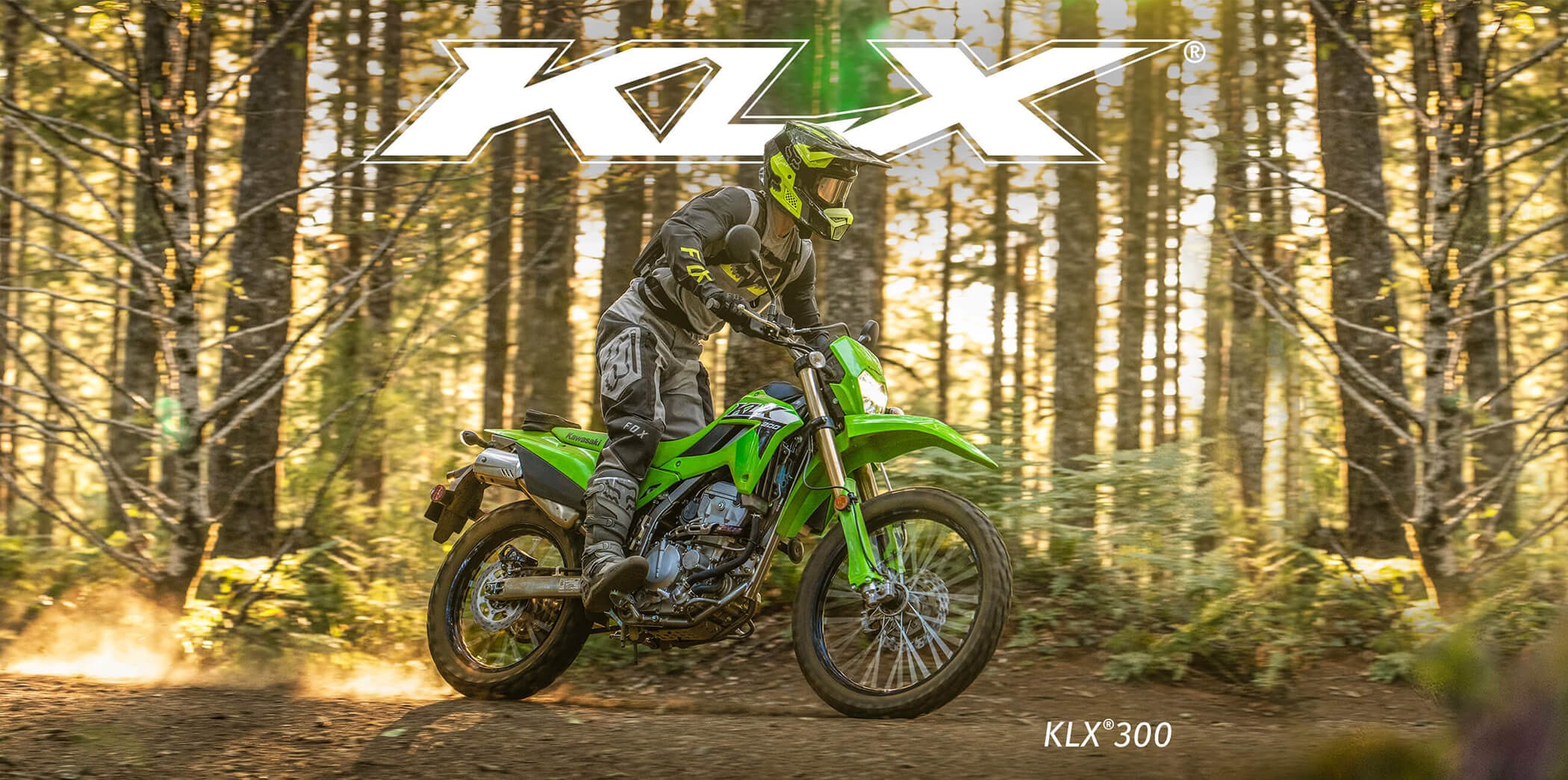 KLX FAMILY: KLX 300