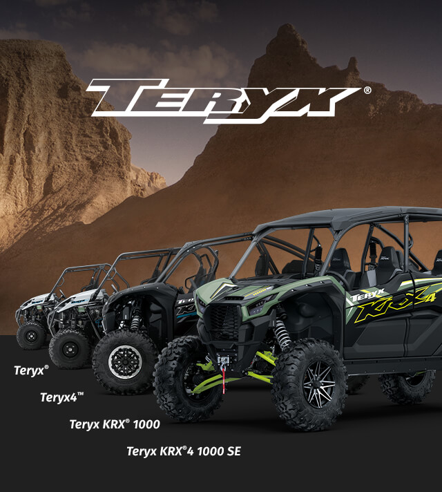 TERYX FAMILY: TERYX 4 LE TERYX KRX 1000 TERYX LE Teryx KRX®️4 1000 eS Special Edition SMALL IMAGE