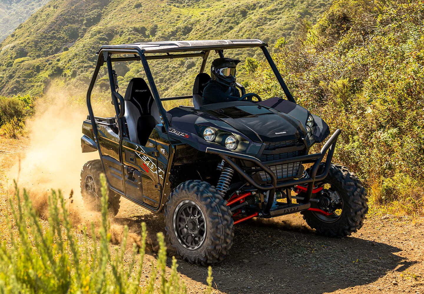 KAWASAKI TERYX: TERYX LE