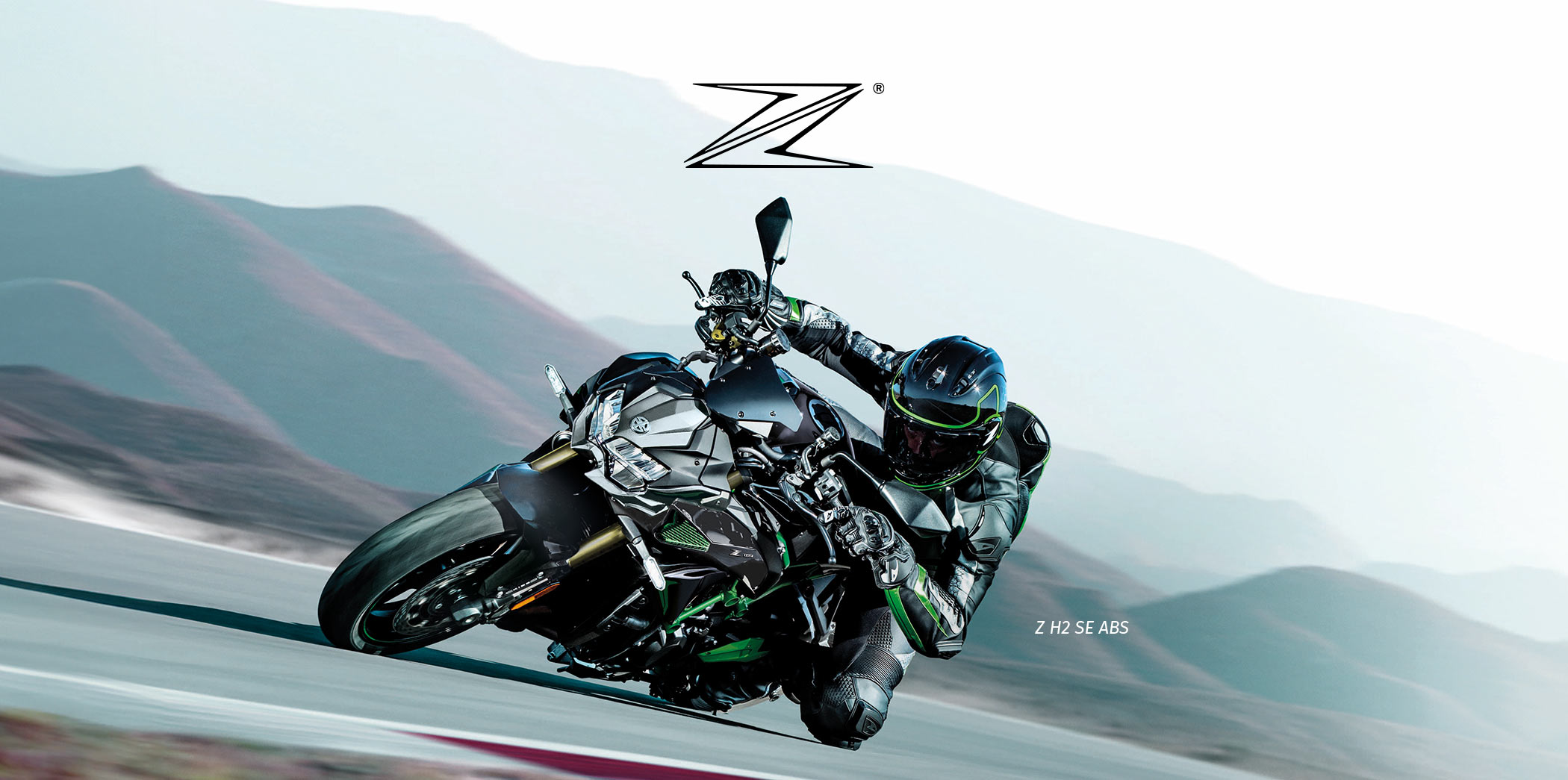 Z FAMILY