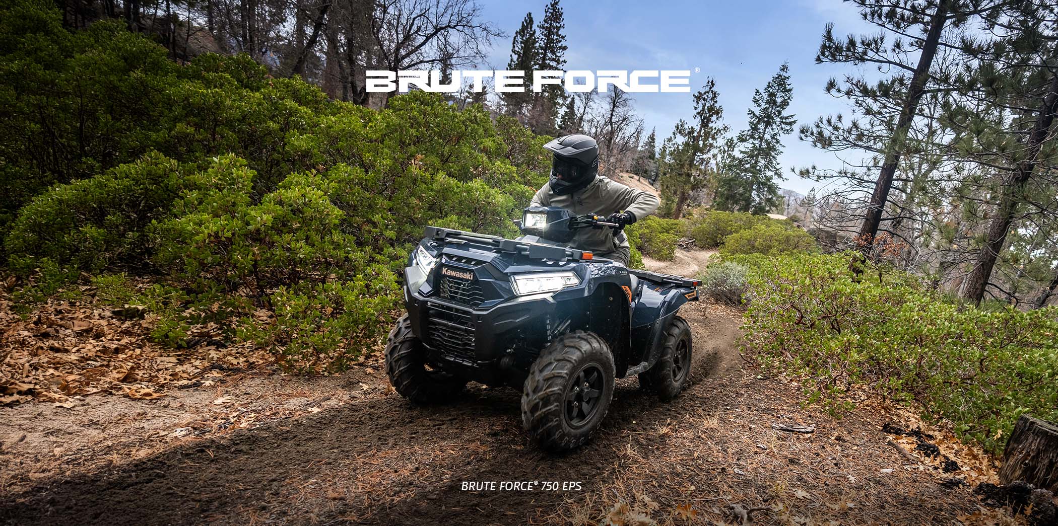 Brute Force FAMILY: