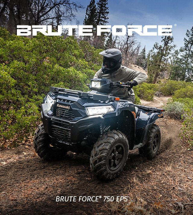Brute Force FAMILY: SMALL IMAGE