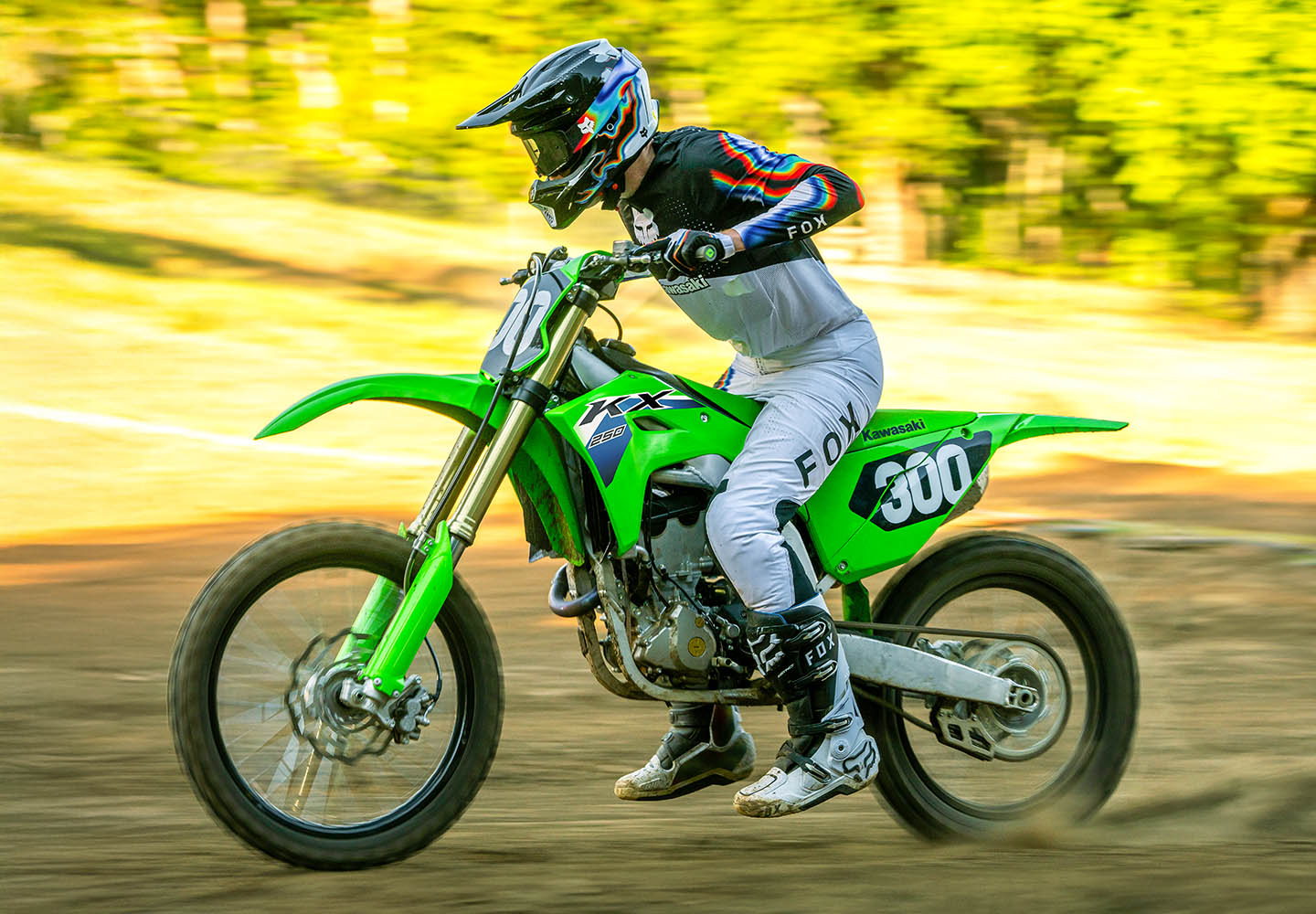 KAWASAKI TERYX: TERYX LE