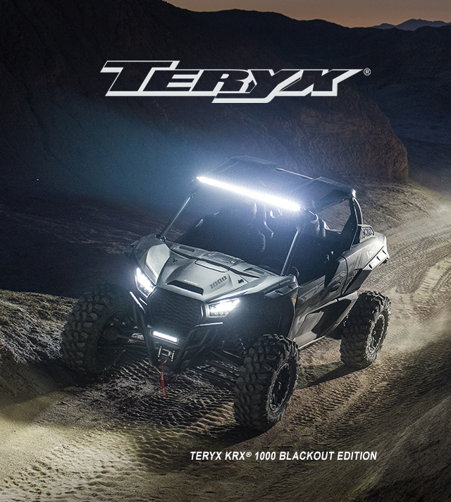 TERYX FAMILY: TERYX KRX4 1000 Blackout Edition SMALL IMAGE