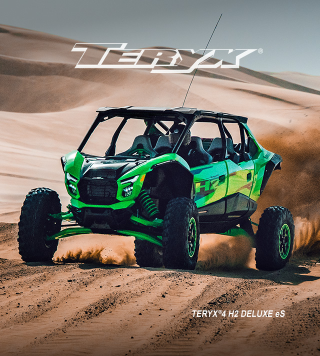 TERYX FAMILY: TERYX KRX4 1000 Blackout Edition SMALL IMAGE