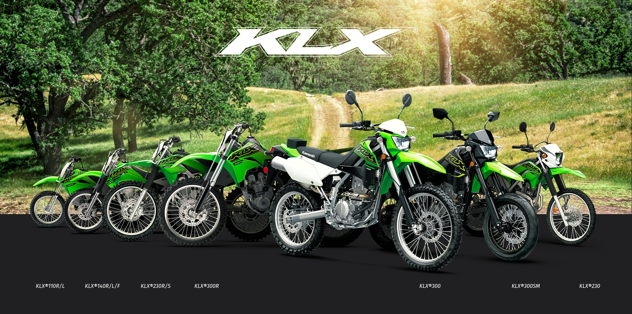 KLX FAMILY: KLX110R KLX140R KLX230R KLX300R KLX300SM KLX300 KLX250 KLX230