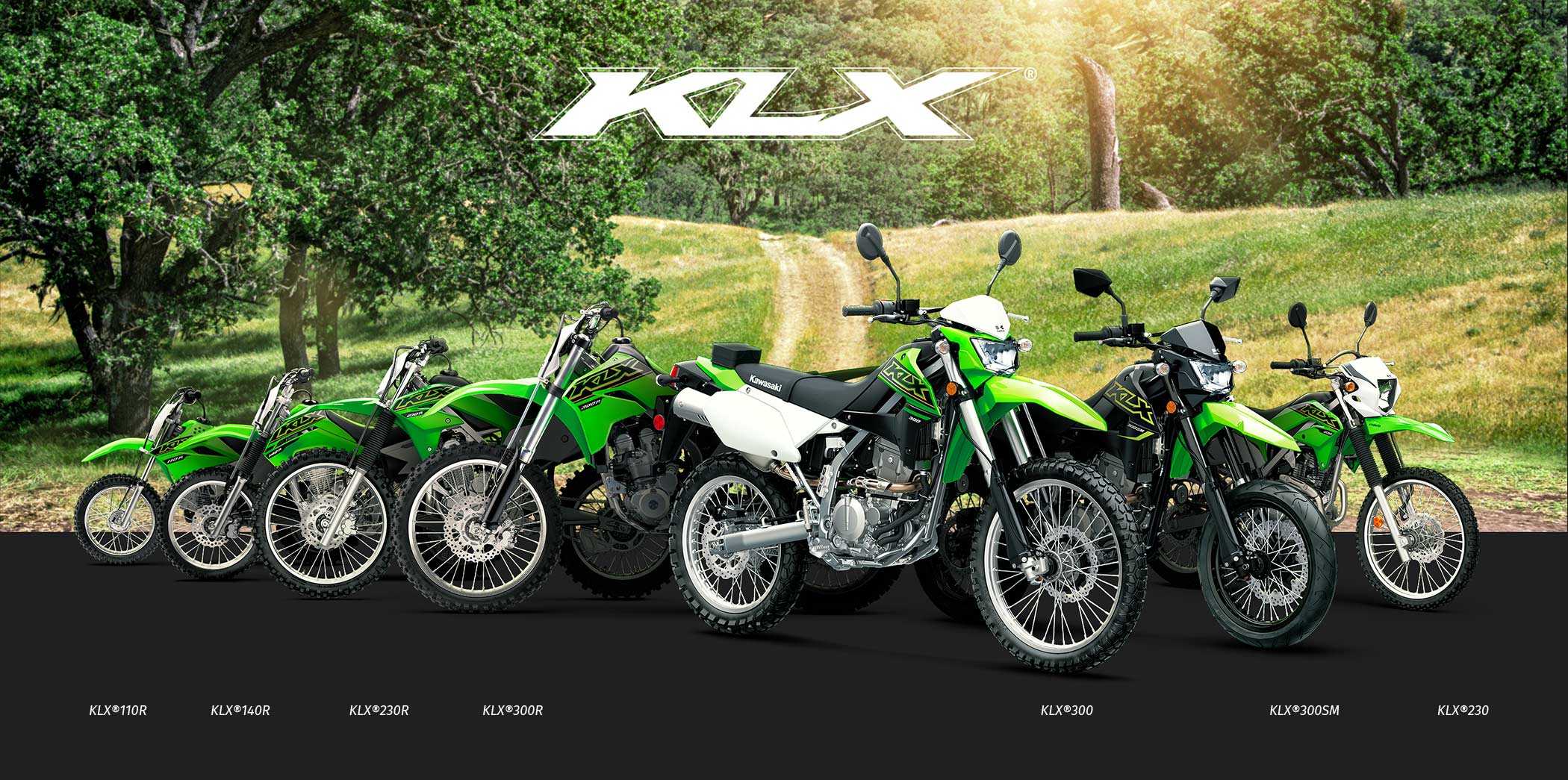 KLX FAMILY: KLX110R KLX140R KLX230R KLX300R KLX300SM KLX300 KLX250 KLX230