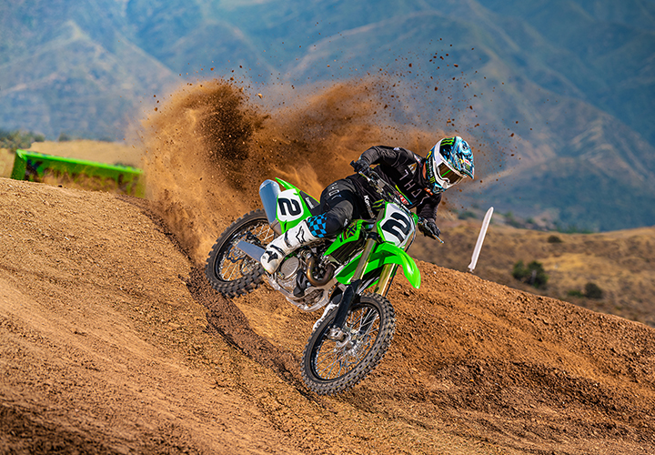 KAWASAKI TERYX: TERYX LE
