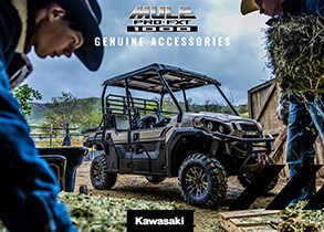 MULE PRO-FXT™ 1000 Accessories Catalog