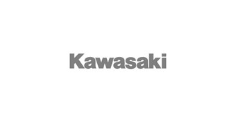 Graphic Kit - Team Kawasaki Race