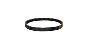 Belt,Cvt