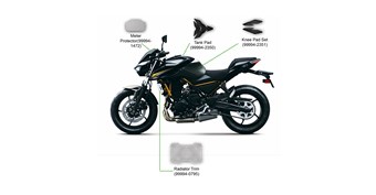 photo of a Z650 Protection Package