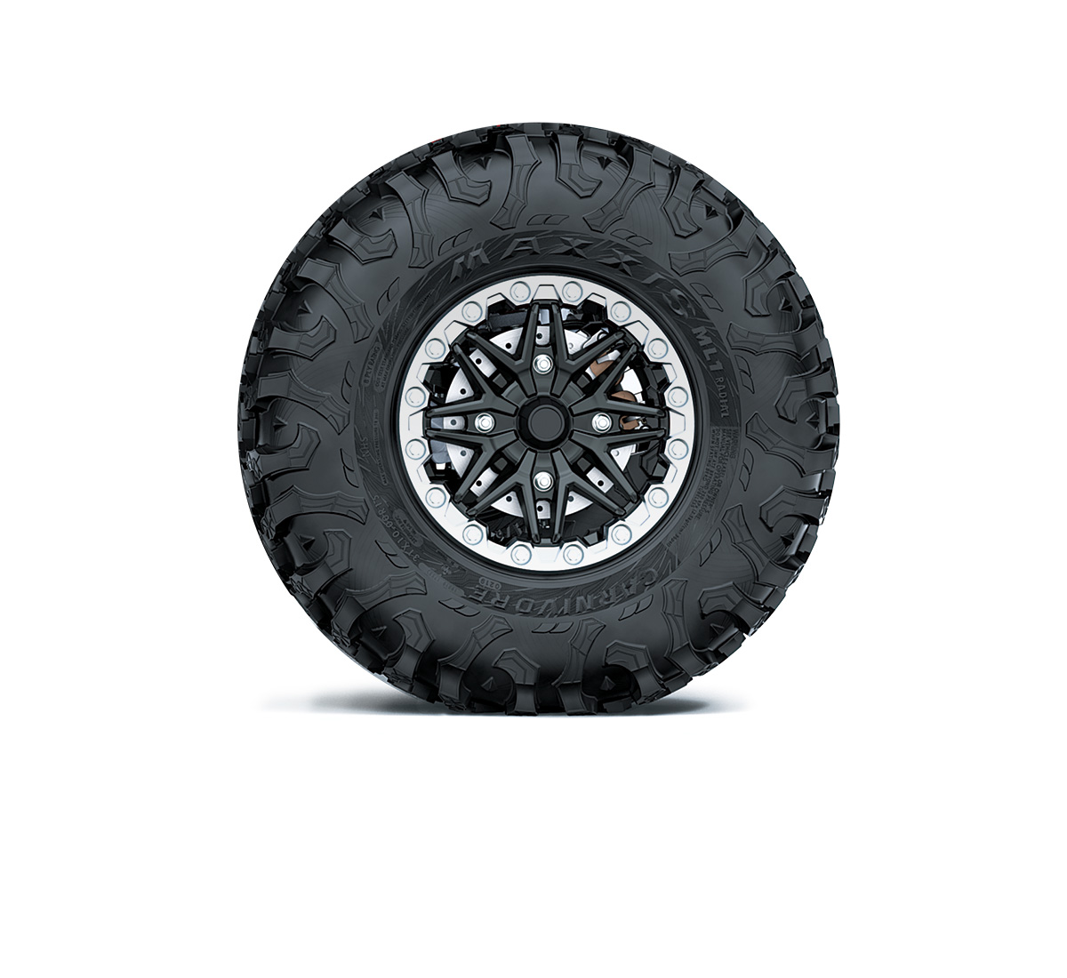 Spare Tire Assembly, Silver