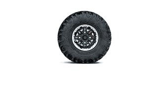 Spare Tire Assembly, Silver