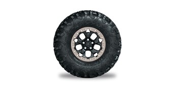 Spare Tire Assembly, Silver