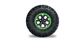 photo of a Spare Tire Assembly, Green - TERYX® H2