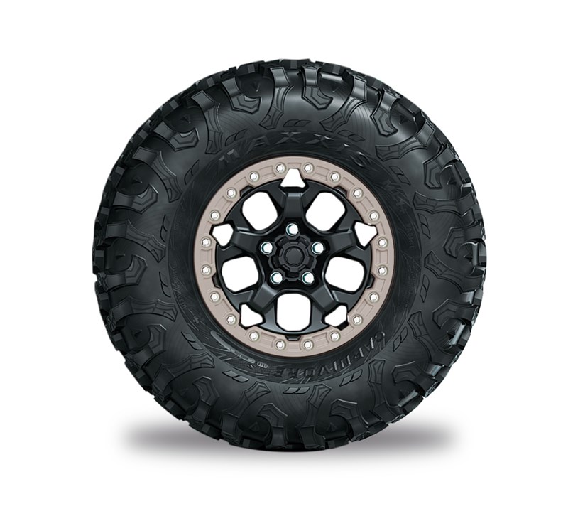 Spare Tire Assembly, Silver - TERYX® H2 detail photo 1