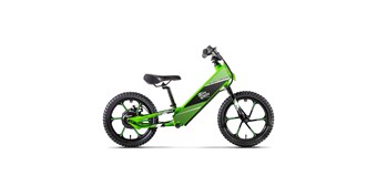 Kawasaki Elektrode® Graphics Kit - Team Green™