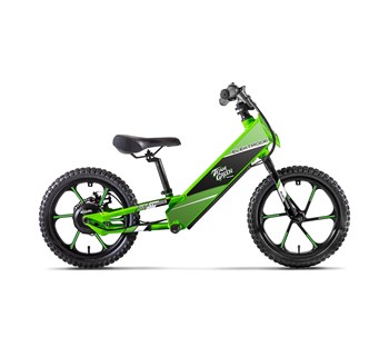 Kawasaki Elektrode® Graphics Kit - Team Green™