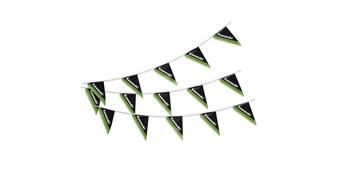 Kawasaki Two-Sided String Pennants