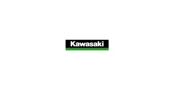 Kawasaki 3 Green Lines 12" Decal