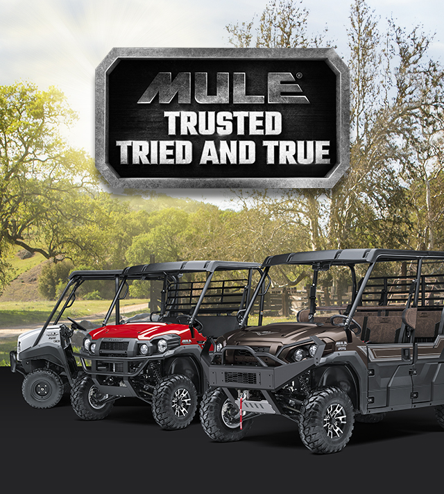 MULE FAMILY: MULE 4010 MULE PRO-FXT RANCH EDITION MULE PRO-MX EPS LE MULE PRO-MXatv EPS MULE PRO-FXR MULE SX 4X4 XC LE FI SMALL IMAGE